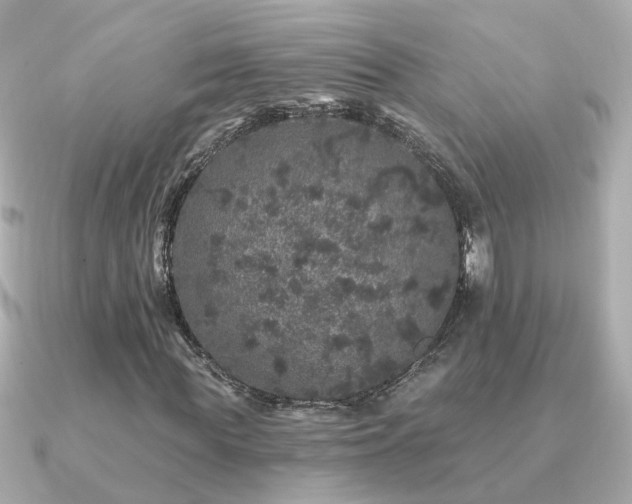 X0000091330819200708101424