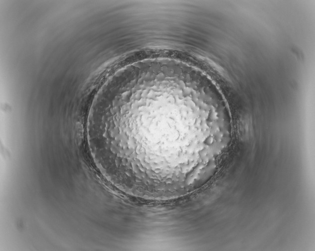 X0000091330821200708101424