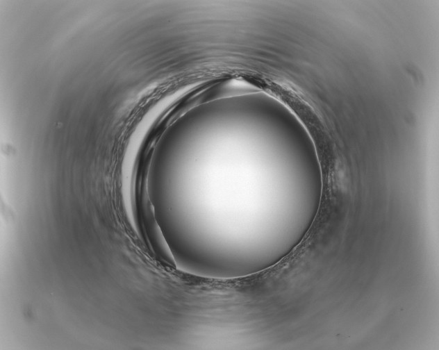 X0000091330822200708101424