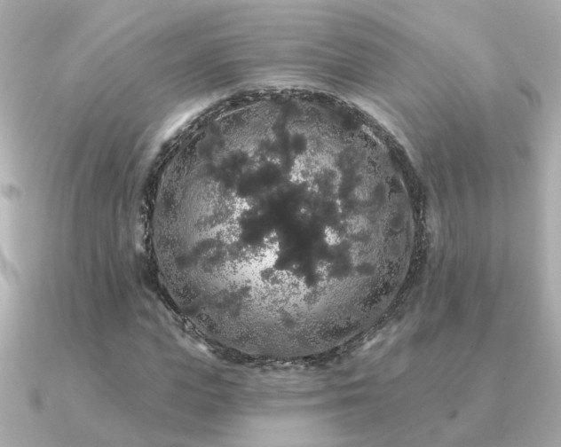 X0000091330823200708101424