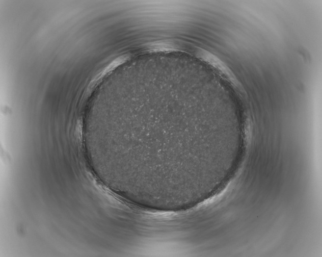 X0000091330825200708101424