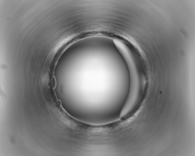 X0000091330826200708101424