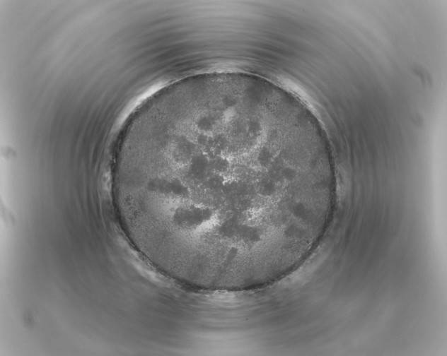 X0000091330827200708101424