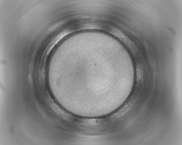 X0000091330828200708101424