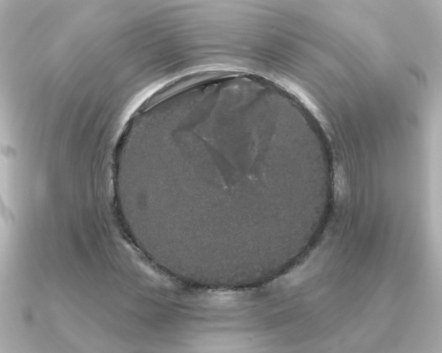 X0000091330829200708101424