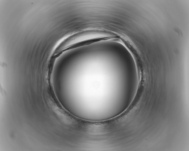 X0000091330830200708101424