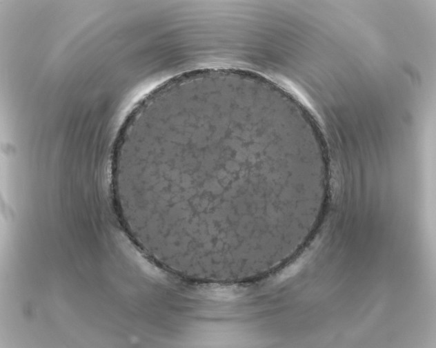 X0000091330831200708101424