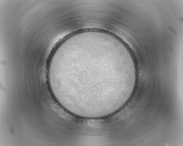 X0000091330832200708101424