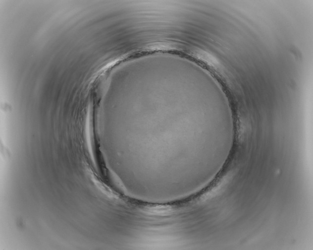 X0000091330833200708101424