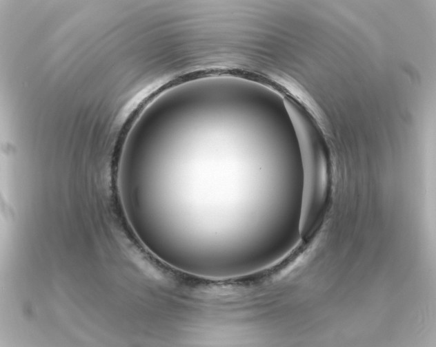 X0000091330834200708101424