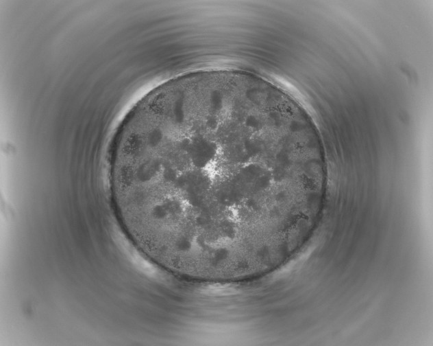 X0000091330835200708101424