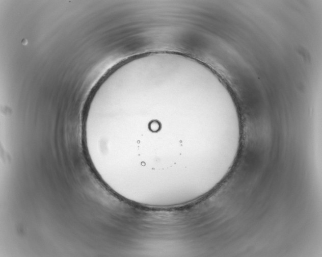 X0000091330836200708101424