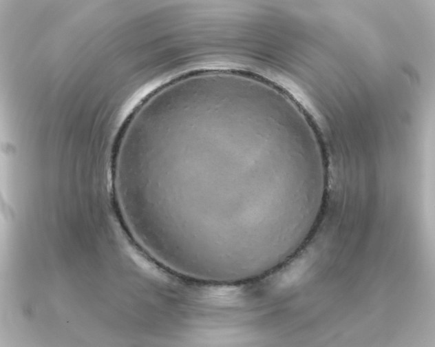 X0000091330837200708101424