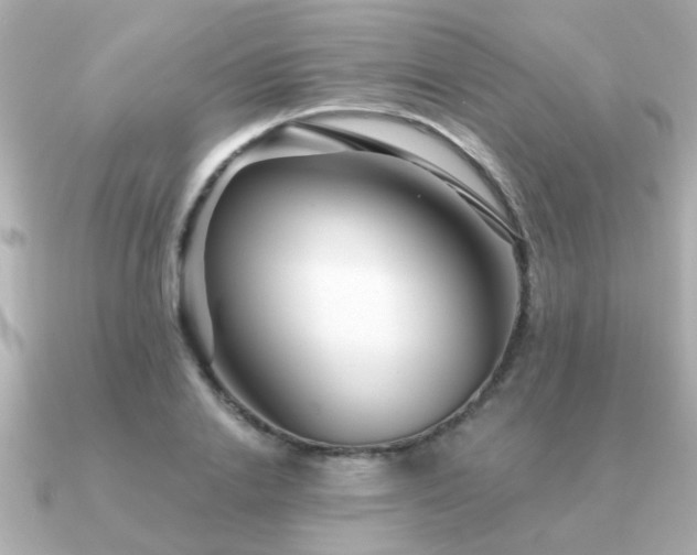 X0000091330838200708101424