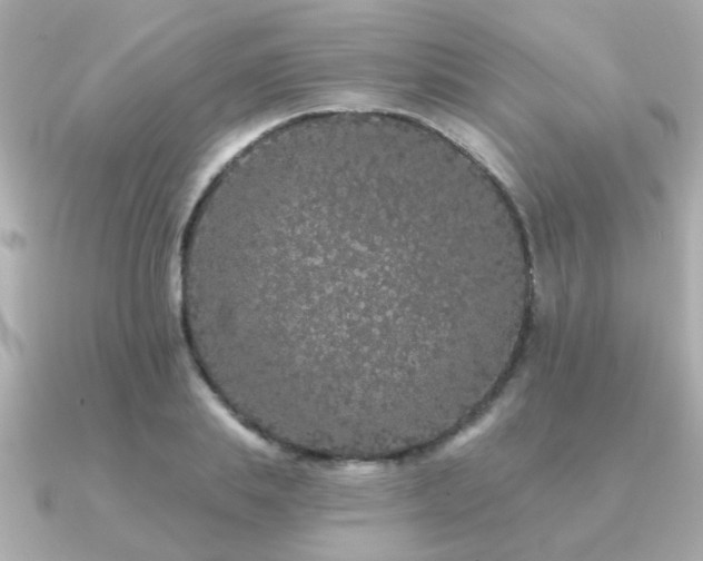 X0000091330839200708101424
