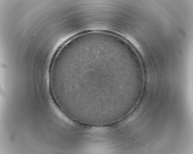 X0000091330840200708101424