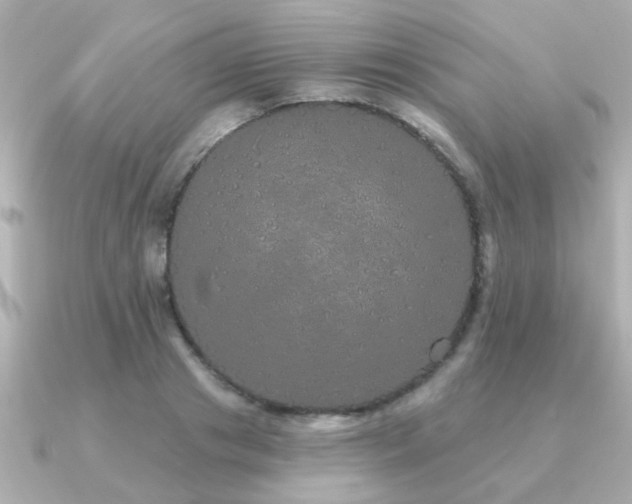 X0000091330841200708101424