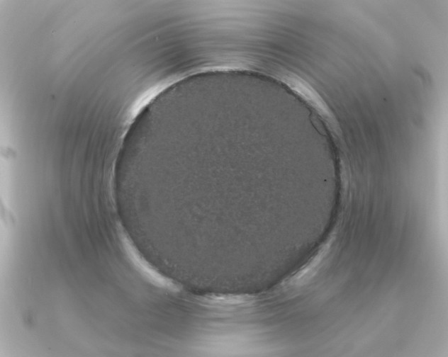 X0000091330842200708101424