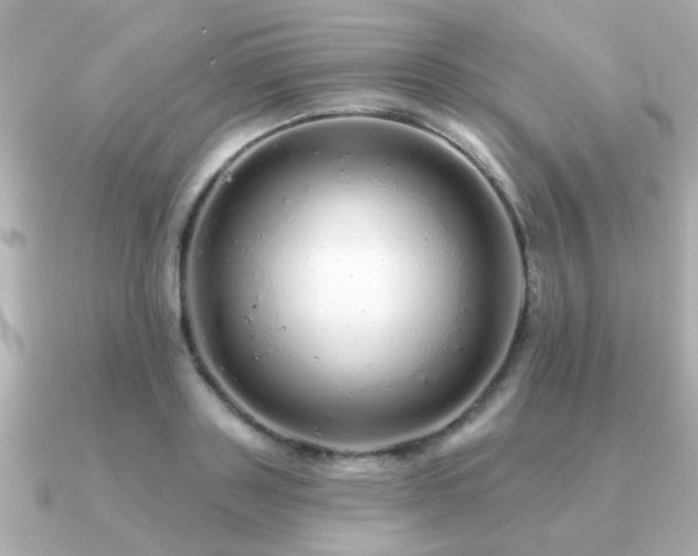 X0000091330843200708101424