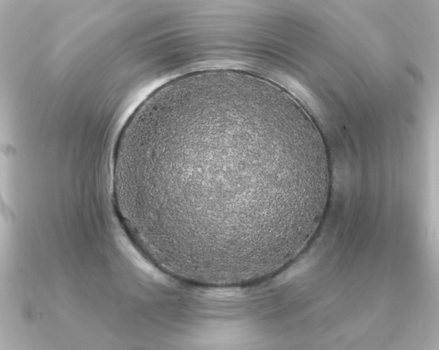 X0000091330844200708101424