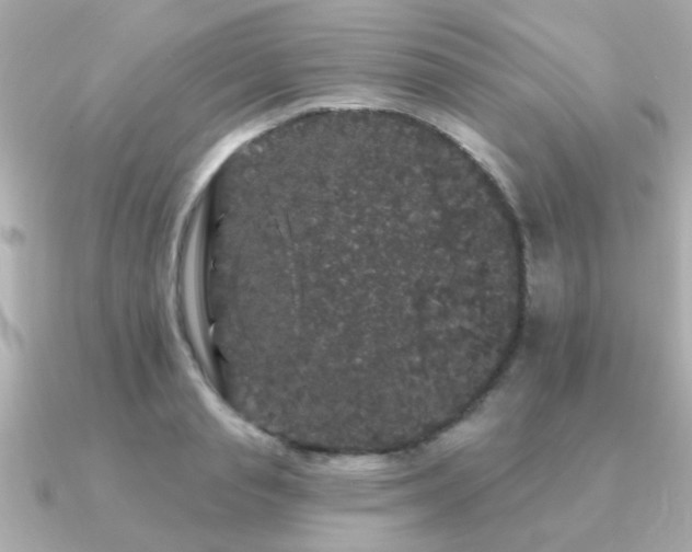 X0000091330845200708101424