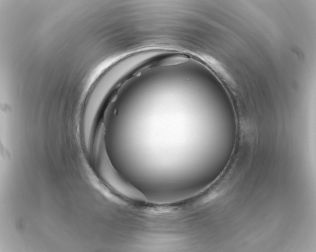 X0000091330846200708101424