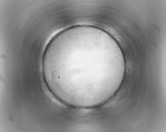X0000091330848200708101424