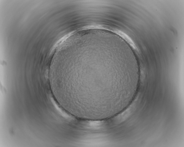 X0000091330849200708101424