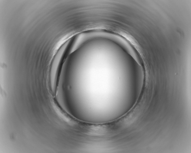 X0000091330850200708101424