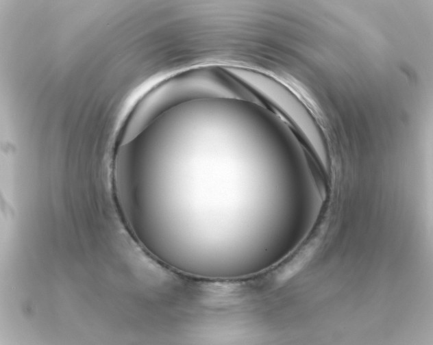 X0000091330854200708101424