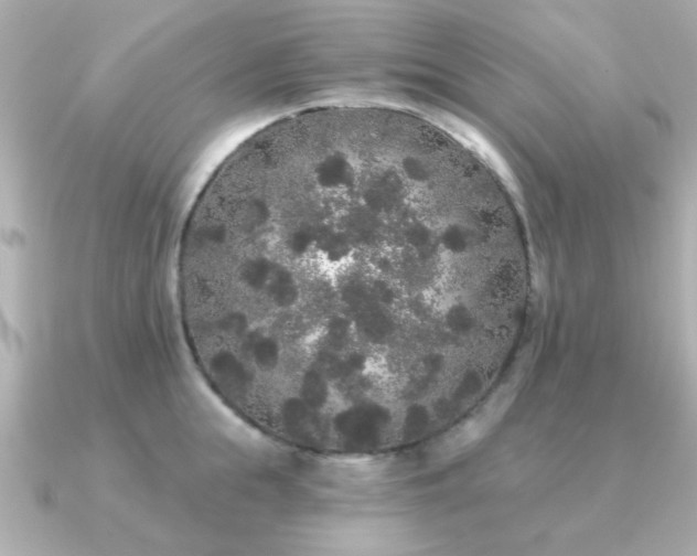 X0000091330855200708101424