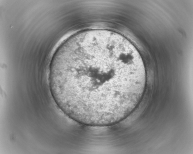 X0000091330856200708101424