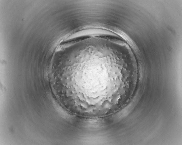 X0000091330857200708101424