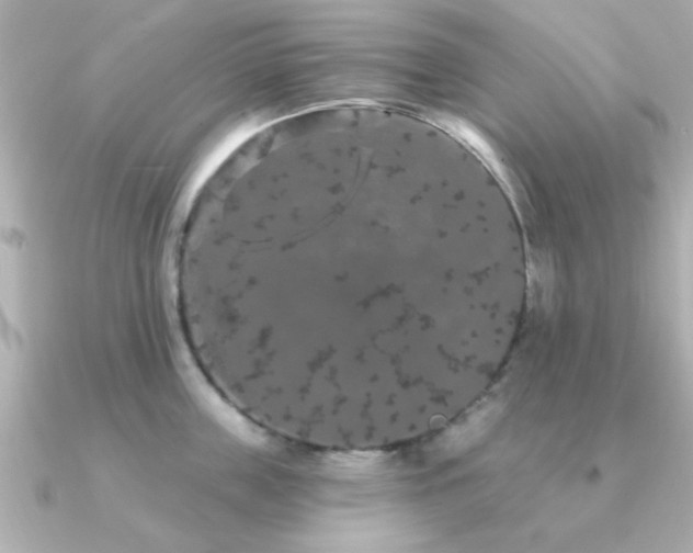 X0000091330859200708101424
