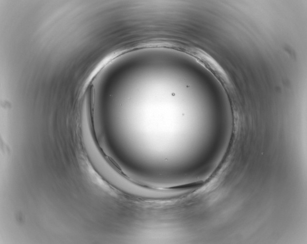 X0000091330860200708101424