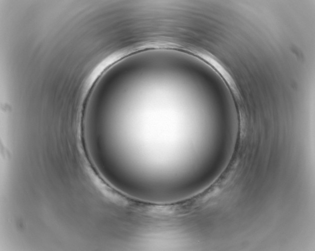X0000091330861200708101424