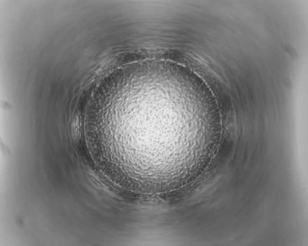X0000091330866200708101424