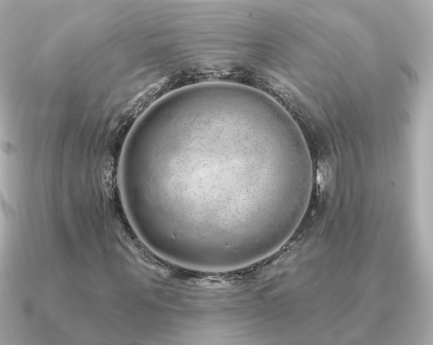 X0000091330867200708101424