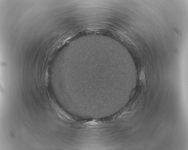 X0000091330868200708101424