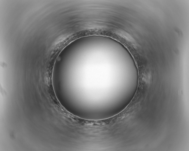 X0000091330869200708101424