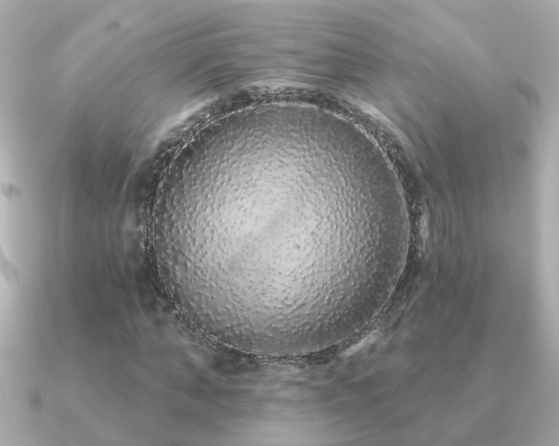 X0000091330870200708101424