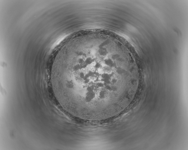 X0000091330871200708101424