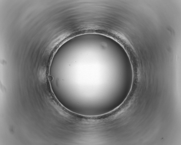 X0000091330873200708101424
