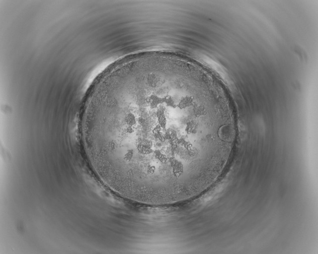 X0000091330875200708101424