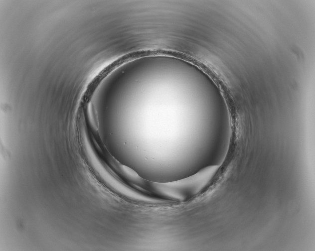 X0000091330876200708101424