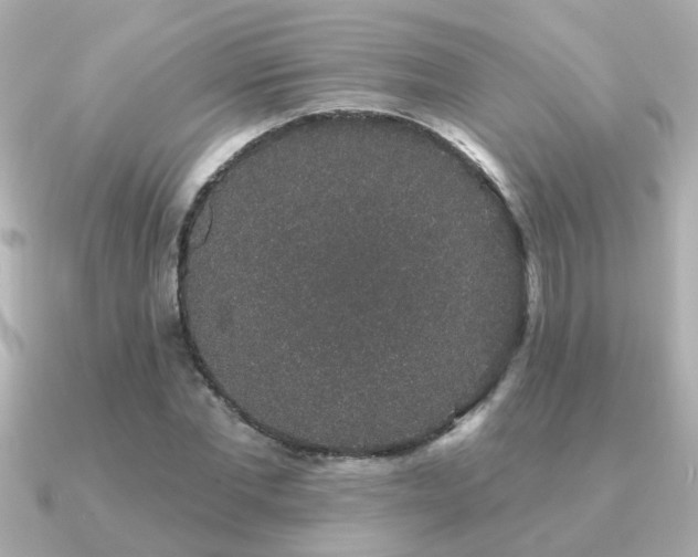 X0000091330877200708101424
