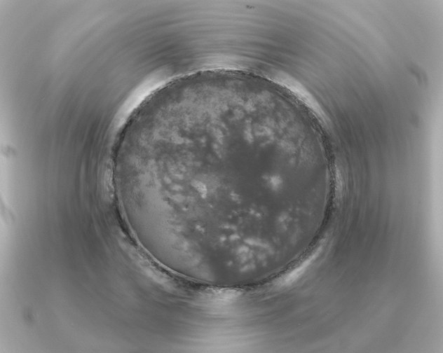 X0000091330878200708101424
