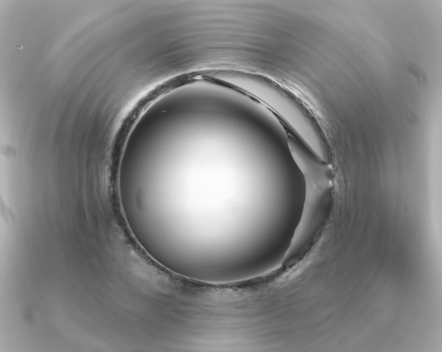 X0000091330880200708101424