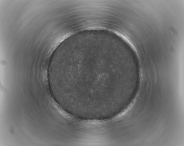 X0000091330881200708101424