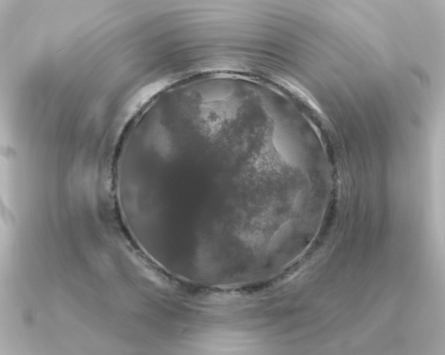 X0000091330882200708101424